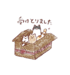 うさねこくまのスタンプ（個別スタンプ：36）