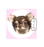 チワワちゃん4（個別スタンプ：12）