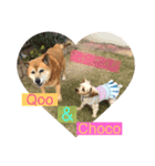Qoo＆Choco（個別スタンプ：3）