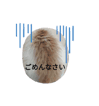もふもふ猫「リチャード」（個別スタンプ：8）