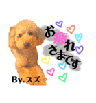 愛犬達のスタンプワールドPart4（個別スタンプ：1）