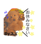 愛犬達のスタンプワールドPart4（個別スタンプ：2）