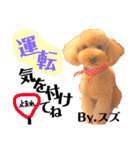 愛犬達のスタンプワールドPart4（個別スタンプ：4）
