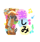 愛犬達のスタンプワールドPart4（個別スタンプ：7）