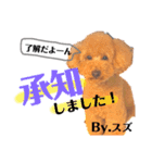 愛犬達のスタンプワールドPart4（個別スタンプ：8）