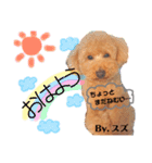 愛犬達のスタンプワールドPart4（個別スタンプ：9）