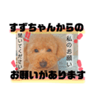 愛犬達のスタンプワールドPart4（個別スタンプ：15）