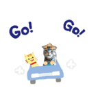 猫 まる（個別スタンプ：15）