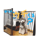 今日のSunny part3（個別スタンプ：11）