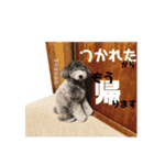 今日のSunny part3（個別スタンプ：12）