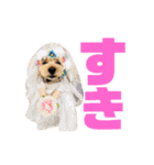 シューです（個別スタンプ：21）