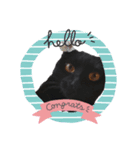 Kuromi Kuu-chan（個別スタンプ：4）