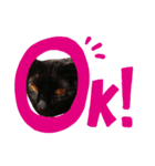 Kuromi Kuu-chan（個別スタンプ：7）
