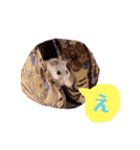 ハムスターのざこ（個別スタンプ：7）