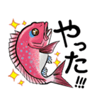 魚好きのためのおさかなスタンプ（個別スタンプ：1）