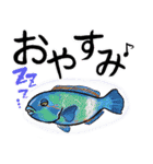 魚好きのためのおさかなスタンプ（個別スタンプ：5）
