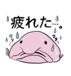 魚好きのためのおさかなスタンプ（個別スタンプ：7）