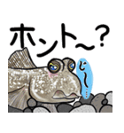 魚好きのためのおさかなスタンプ（個別スタンプ：8）
