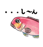 魚好きのためのおさかなスタンプ（個別スタンプ：10）