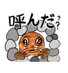 魚好きのためのおさかなスタンプ（個別スタンプ：11）