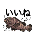 魚好きのためのおさかなスタンプ（個別スタンプ：13）