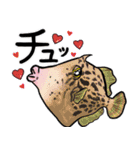 魚好きのためのおさかなスタンプ（個別スタンプ：16）