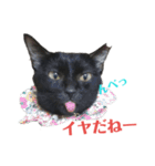 メロマロン（個別スタンプ：2）
