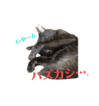 メロマロン（個別スタンプ：7）
