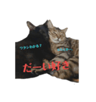 メロマロン（個別スタンプ：8）