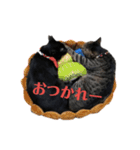 メロマロン（個別スタンプ：14）