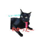 メロマロン（個別スタンプ：16）