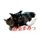 メロマロン（個別スタンプ：20）