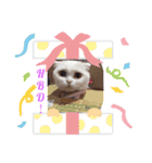 はちちゃん·キティティップ（個別スタンプ：3）