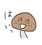しいたけちゃん家族（個別スタンプ：5）