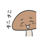 しいたけちゃん家族（個別スタンプ：19）