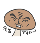 しいたけちゃん家族（個別スタンプ：20）