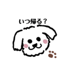 マルチーズふうとりんとビーグルべるさん（個別スタンプ：7）