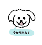 マルチーズふうとりんとビーグルべるさん（個別スタンプ：10）