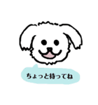 マルチーズふうとりんとビーグルべるさん（個別スタンプ：12）