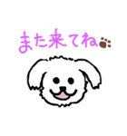 マルチーズふうとりんとビーグルべるさん（個別スタンプ：15）