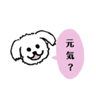マルチーズふうとりんとビーグルべるさん（個別スタンプ：17）