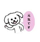 マルチーズふうとりんとビーグルべるさん（個別スタンプ：20）