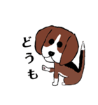 マルチーズふうとりんとビーグルべるさん（個別スタンプ：33）