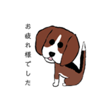 マルチーズふうとりんとビーグルべるさん（個別スタンプ：34）