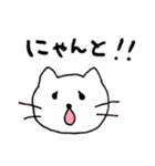 まいにち白ねこスタンプ（個別スタンプ：13）