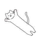 まいにち白ねこスタンプ（個別スタンプ：25）