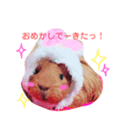 女子力高めなぷりんちゃん（個別スタンプ：1）