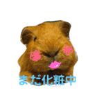 女子力高めなぷりんちゃん（個別スタンプ：2）