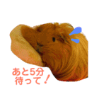 女子力高めなぷりんちゃん（個別スタンプ：3）