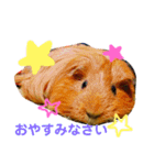 女子力高めなぷりんちゃん（個別スタンプ：6）